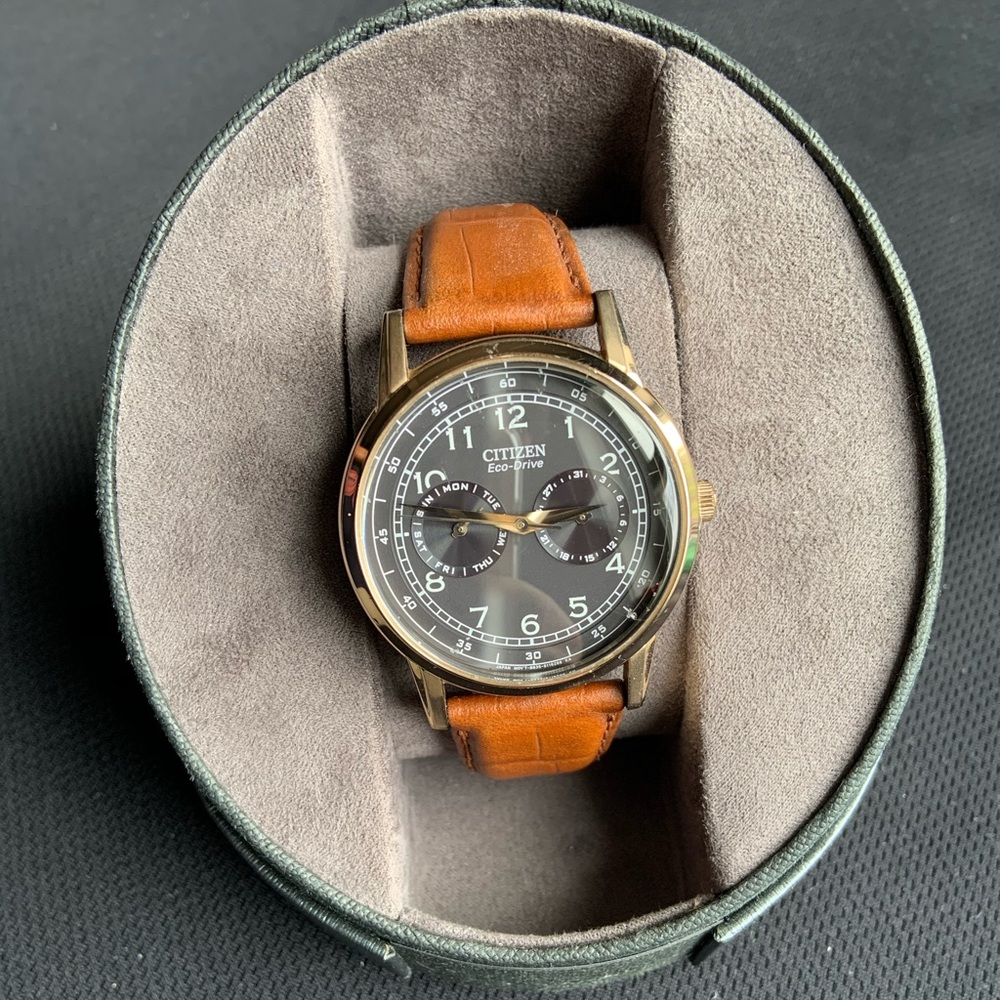 Citizen Ecodrive Corso Watch